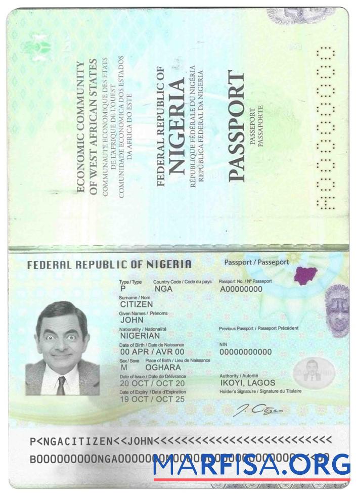 Realistic Nigeria passport (2019 – present) real example